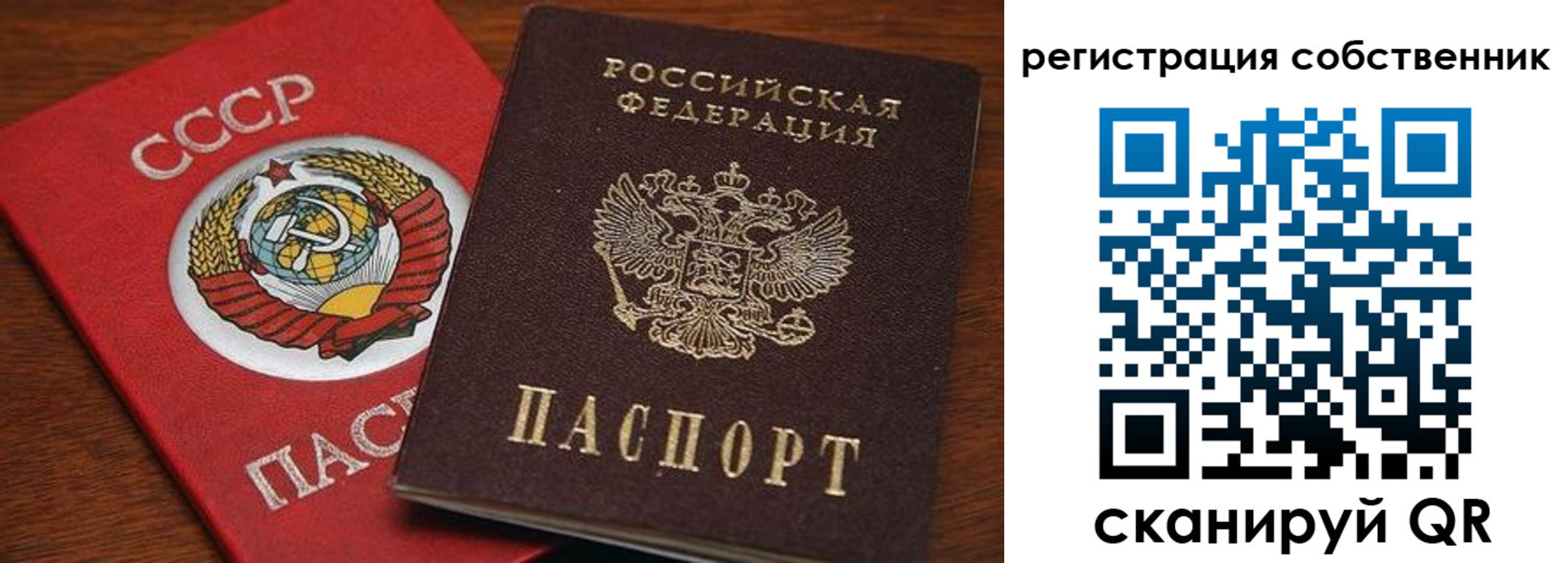 временная регистрация поиск в Чкаловске